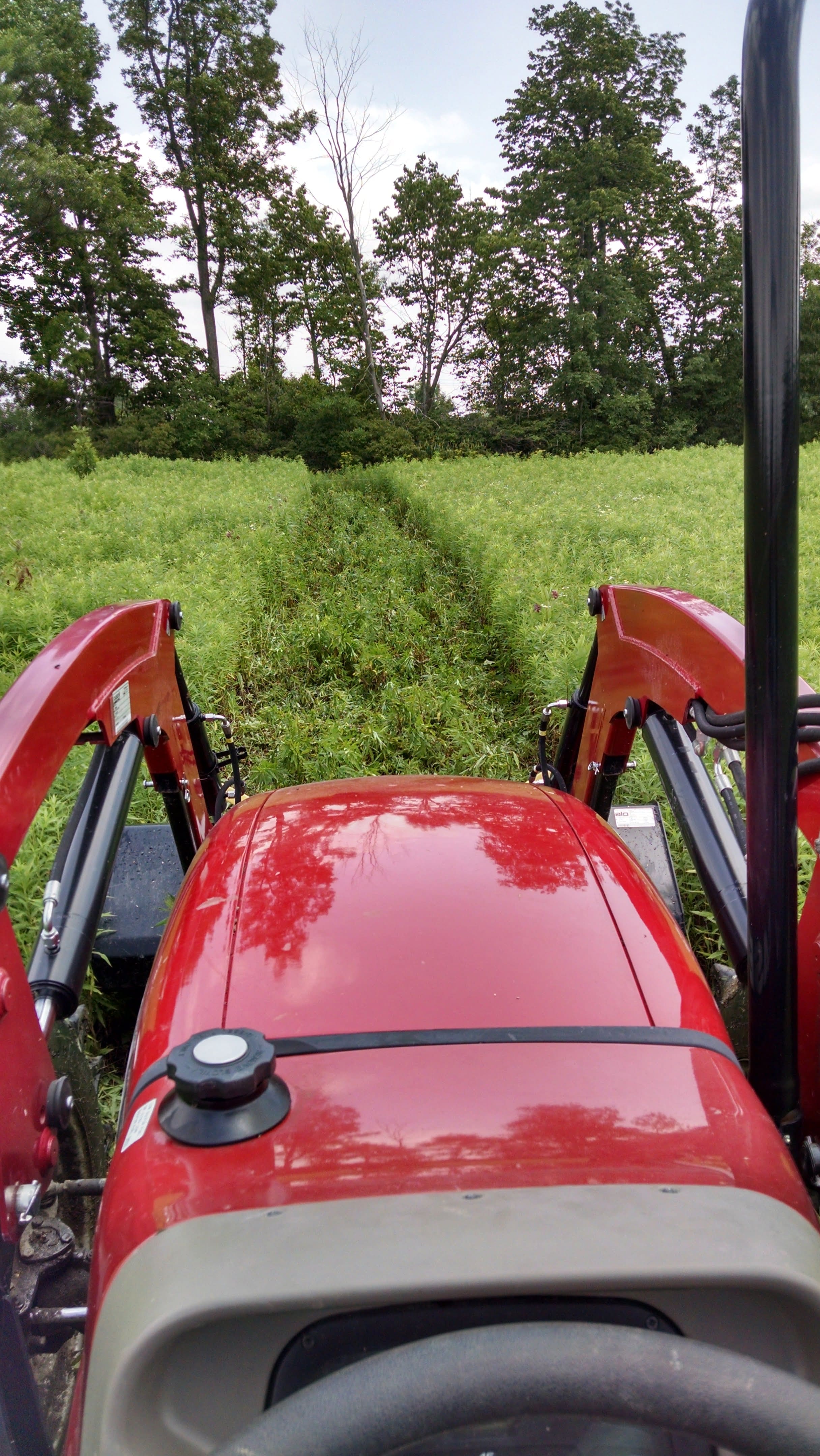 I can flatten the fencelines quickly with the back edge of the loader bucket. Better results could be achieved with movers, crimper rollers, or some sort of dragged implement, but this is good enough and it doesn't require extra equipment or setup time.