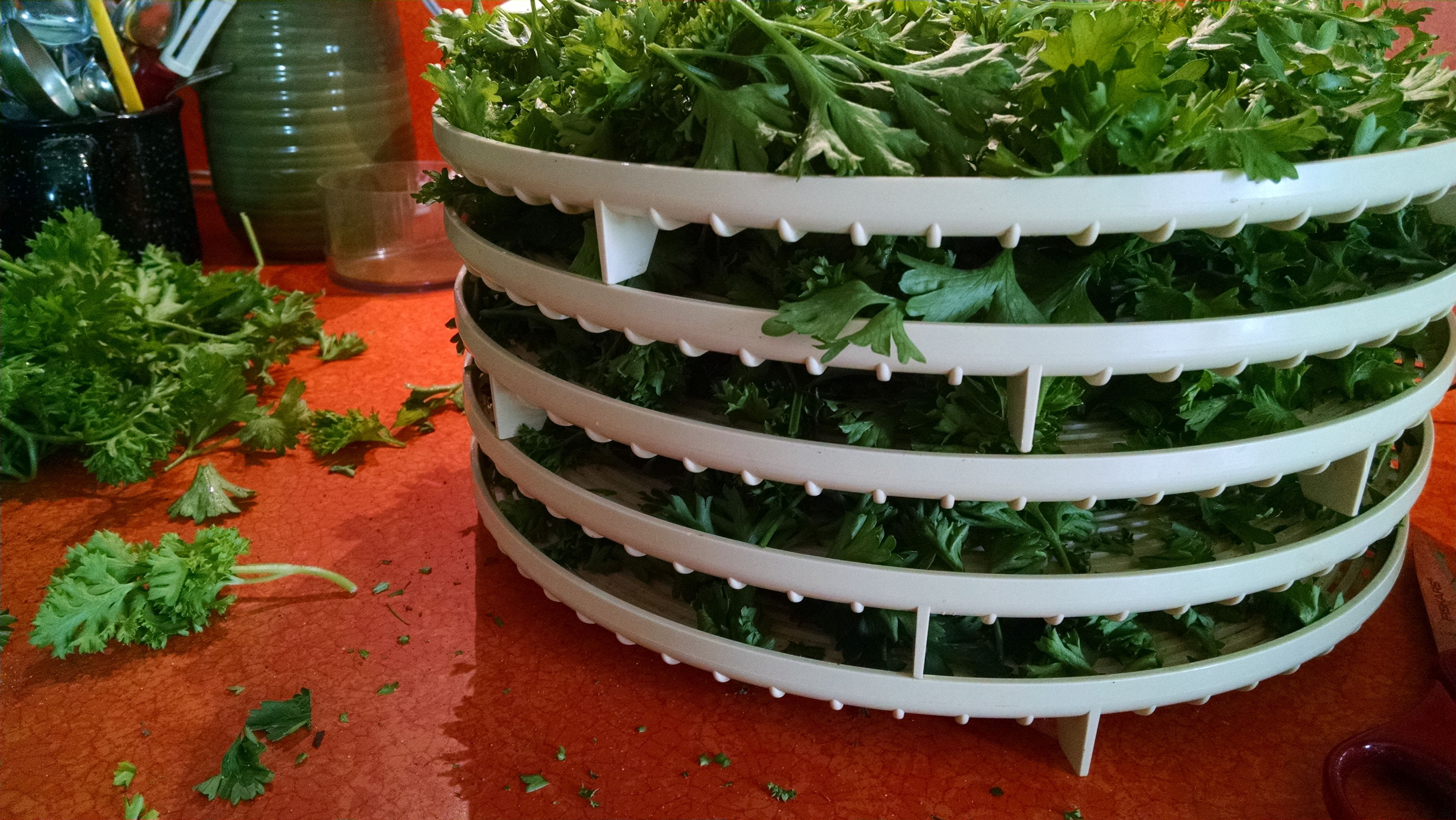 Every year I have needed more parsley than I've grown. This year I did it correctly.