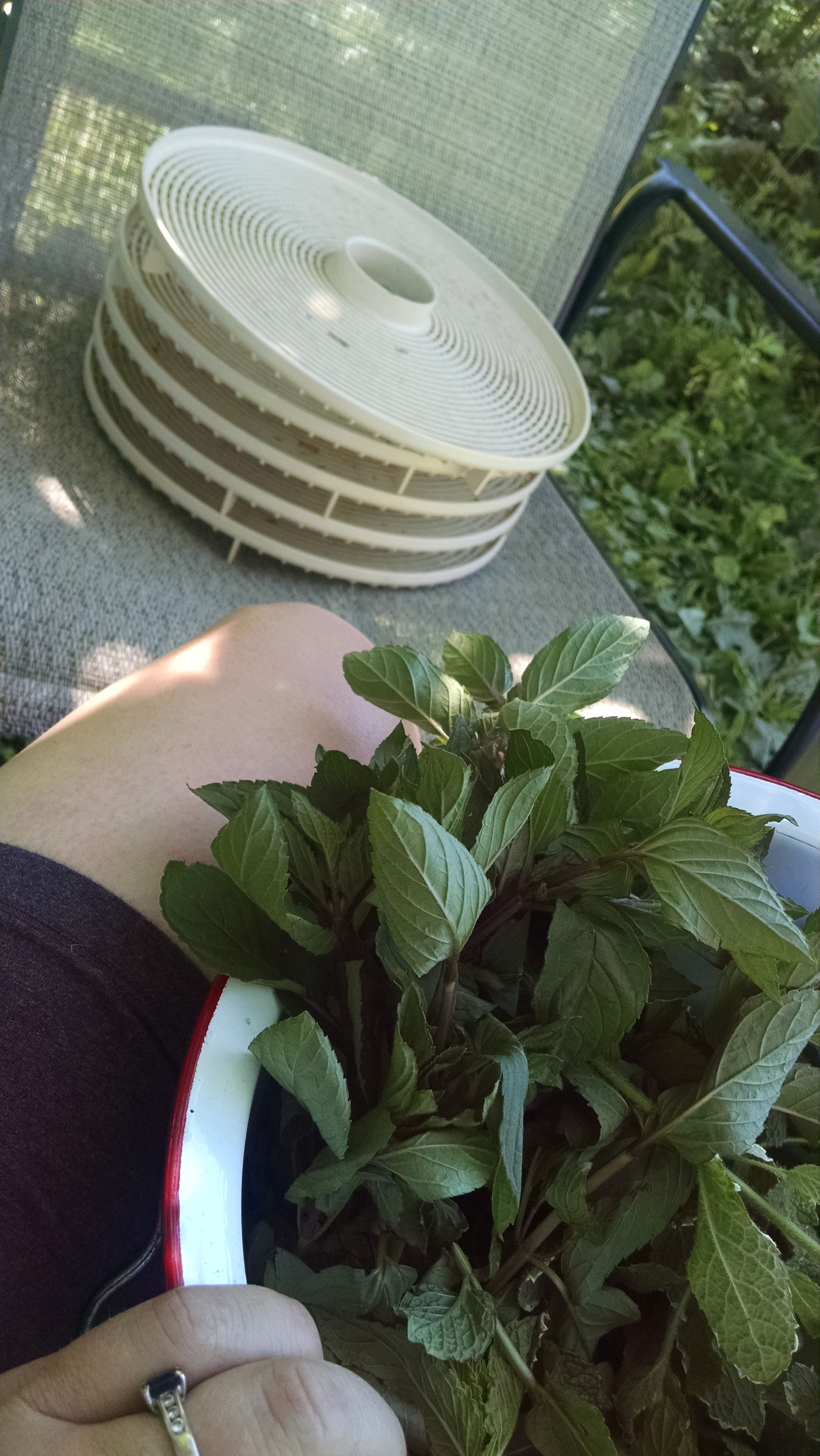 Then again, handing it over to the kids means I have one less excuse to sit in the shade under our apple tree.