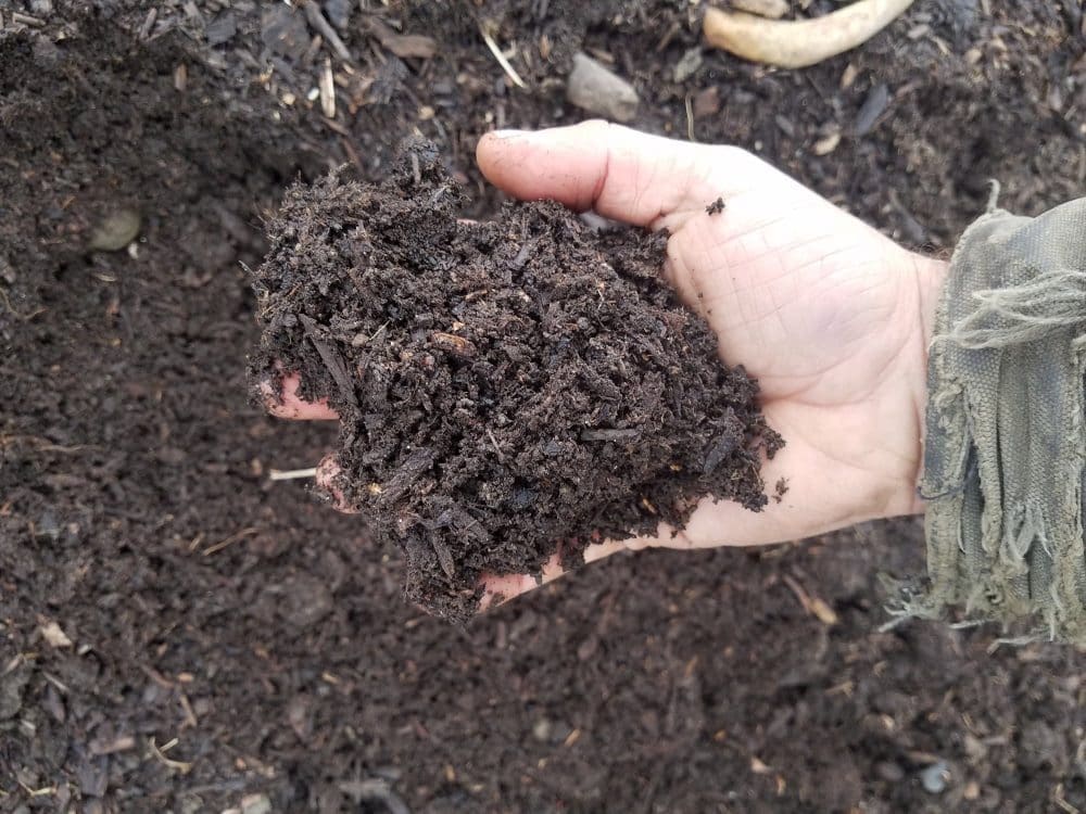 Closeup of crumbly compost, primarily made from brooder bedding leftover from batches of our pasture raised chickens during the first few days when they need more shelter.